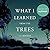 What I Learned from the Trees