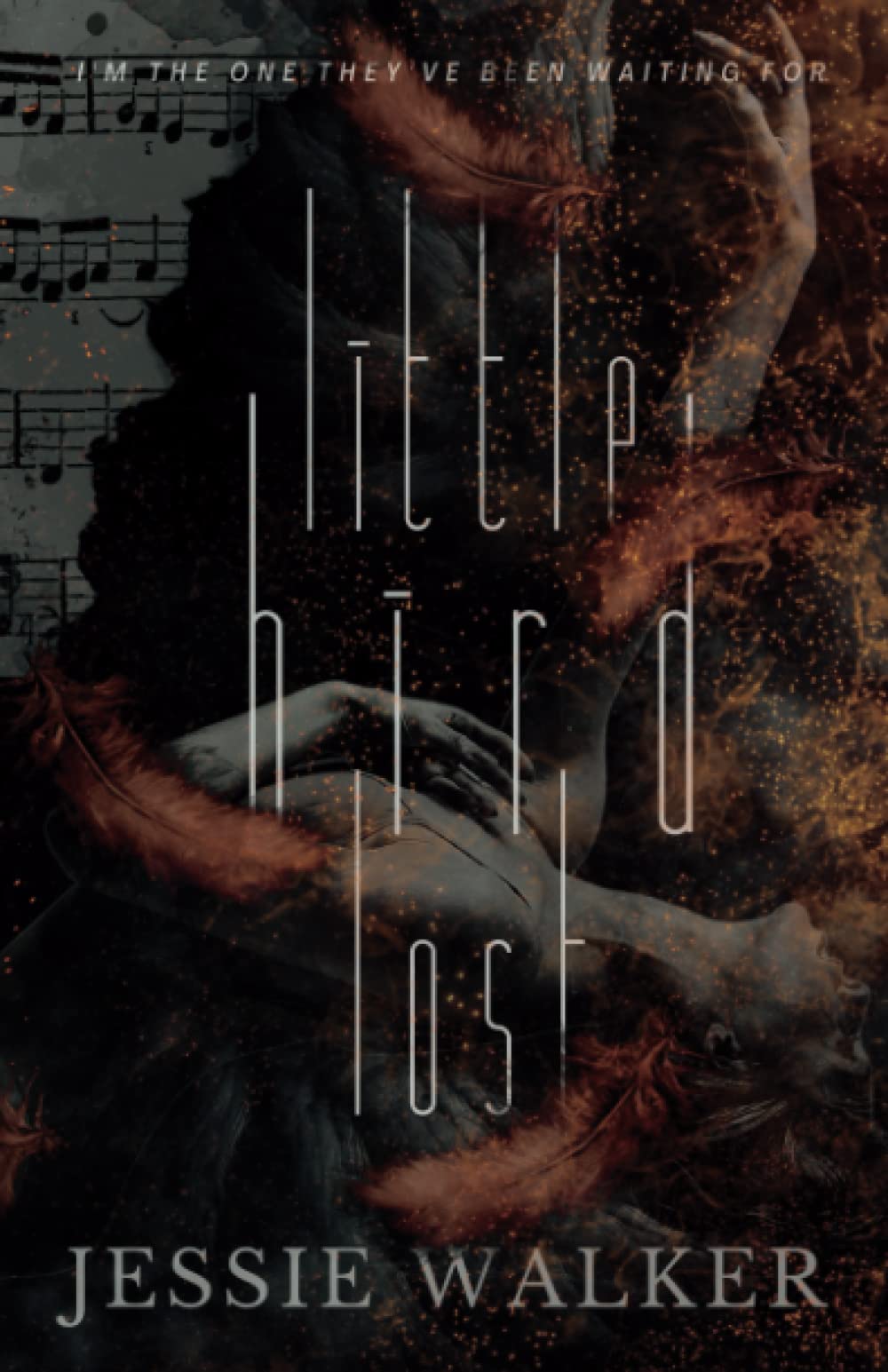 Little Bird Lost (Lost Boys)