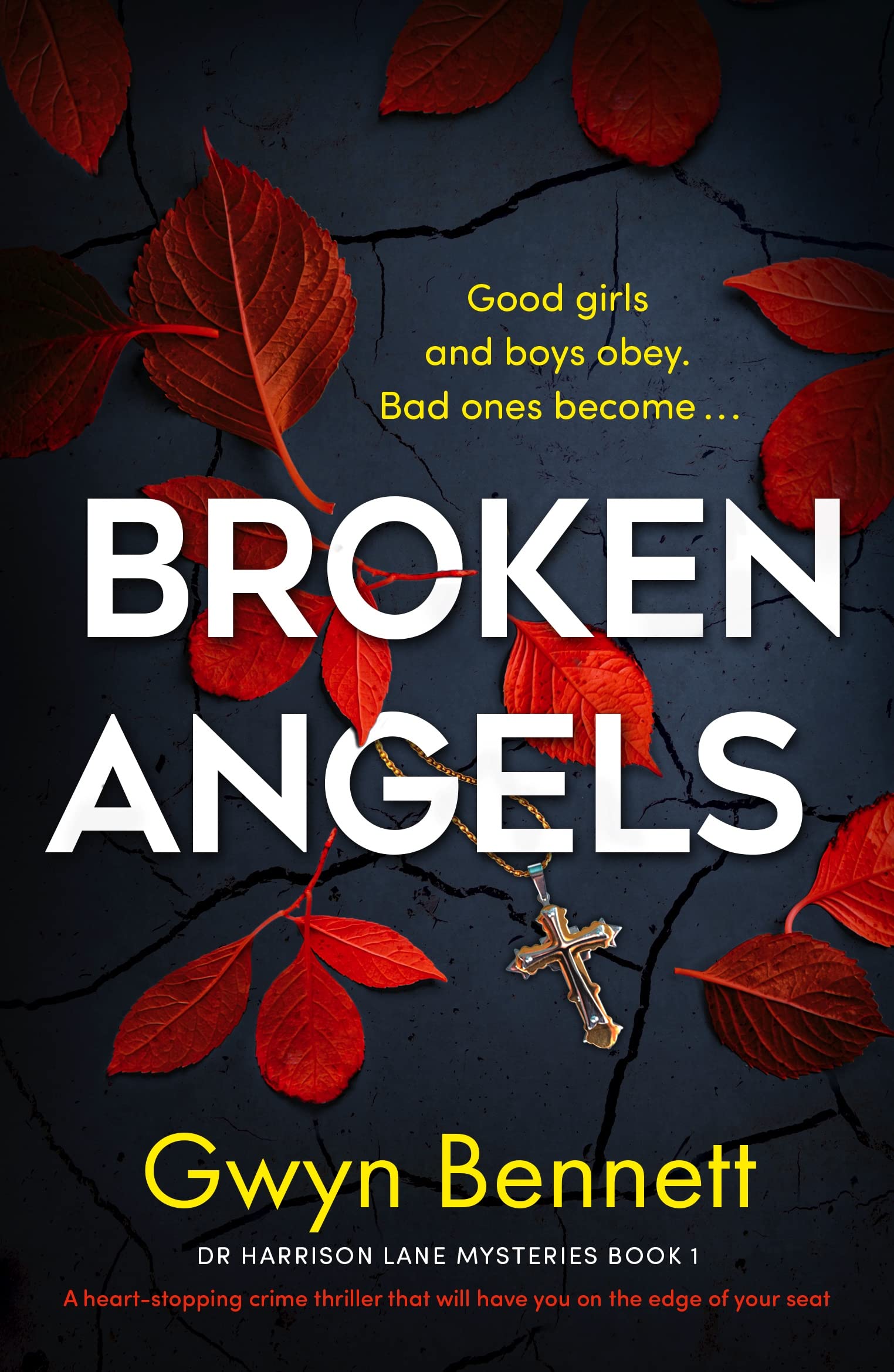 Broken Angels (Dr Harrison Lane Mystery #1)
