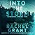 Into the Storm (Evidence: Under Fire, #1)
