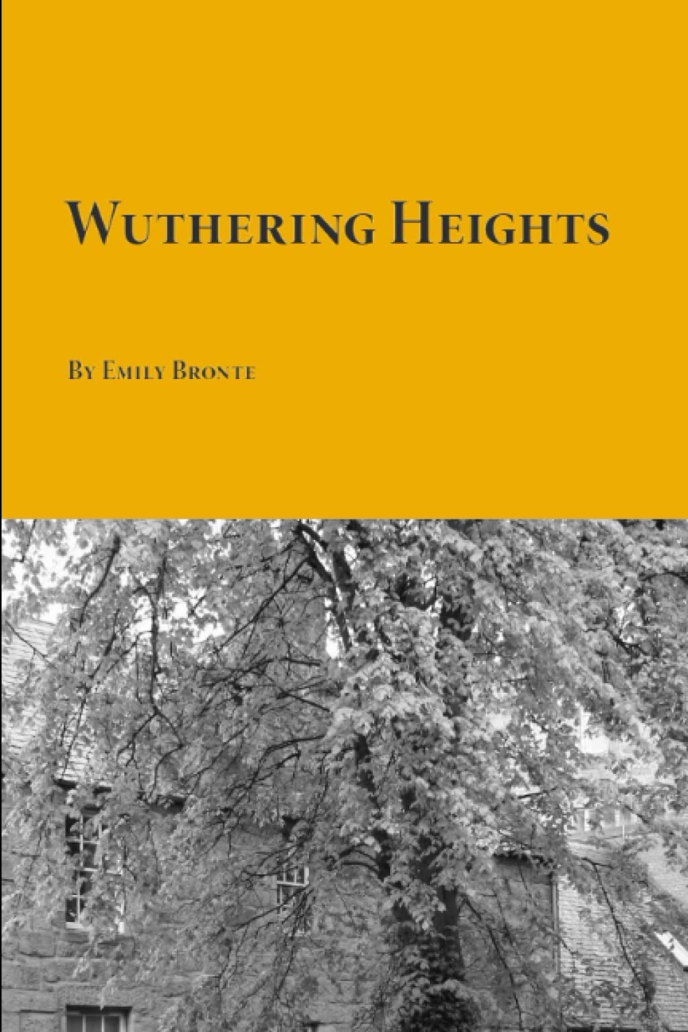 Wuthering Heights (Paperback)