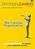 The Curious Organization by Roddy Millar
