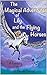 The Magical Adventures of Lily and the Flying Horses by B Bernal