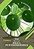Pilea Peperomioides: Prodigy Petal, Plant Guide
