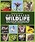 Australian Wildlife on Your...