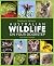 Australian Wildlife on Your Doorstep