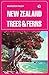 New Zealand trees and ferns