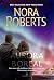 Aurora boreal