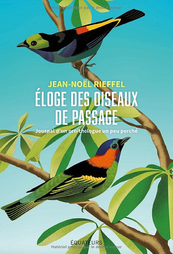 Éloge des oiseaux de passage: Journal d’un ornithologue un peu perché (Paperback)