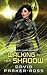 Walking in Her Shadow by David Parker-Ross