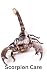 Scorpion Care