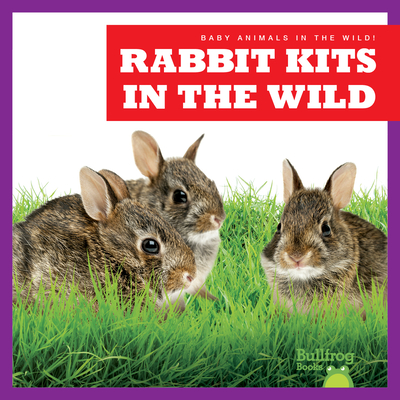 Rabbit Kits in the Wild (Bullfrog Books: Baby Animals in the Wild!)