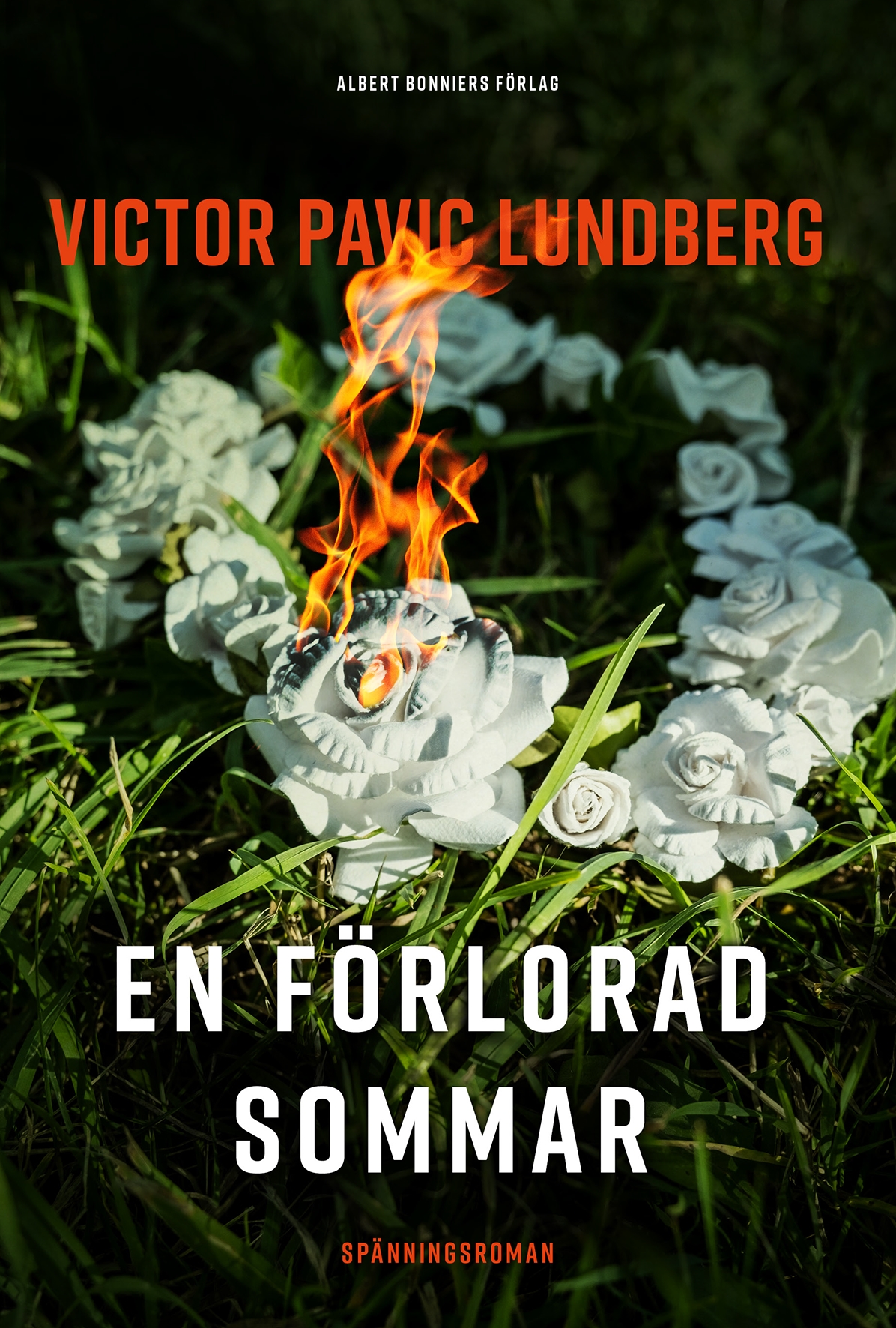 En förlorad sommar (Hardcover)