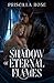Shadow of Eternal Flames