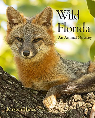 Wild Florida: An Animal Odyssey (Hardcover)