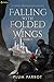 Falling with Folded Wings 3...