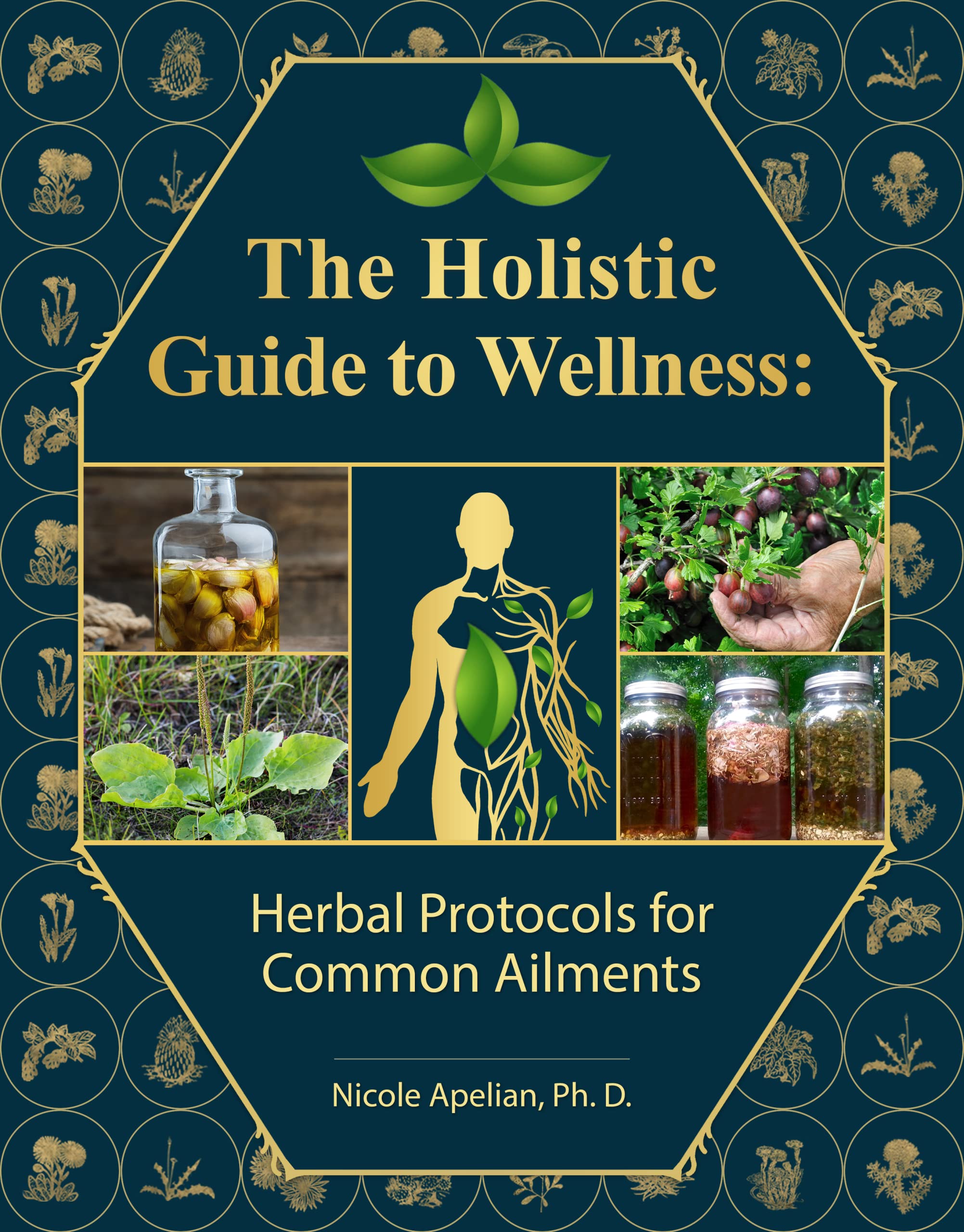 The Holistic Guide to Wellness : Herbal Protocols for Common Ailments (Paperback)