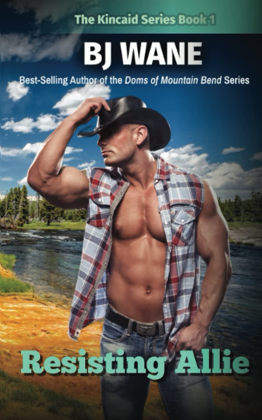 Resisting Allie (The Kincaid Series)