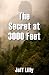 The Secret at 3000 Feet by Jeff Lilly