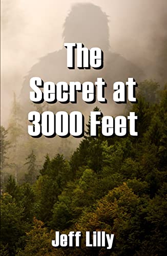 The Secret at 3000 Feet (Kindle Edition)