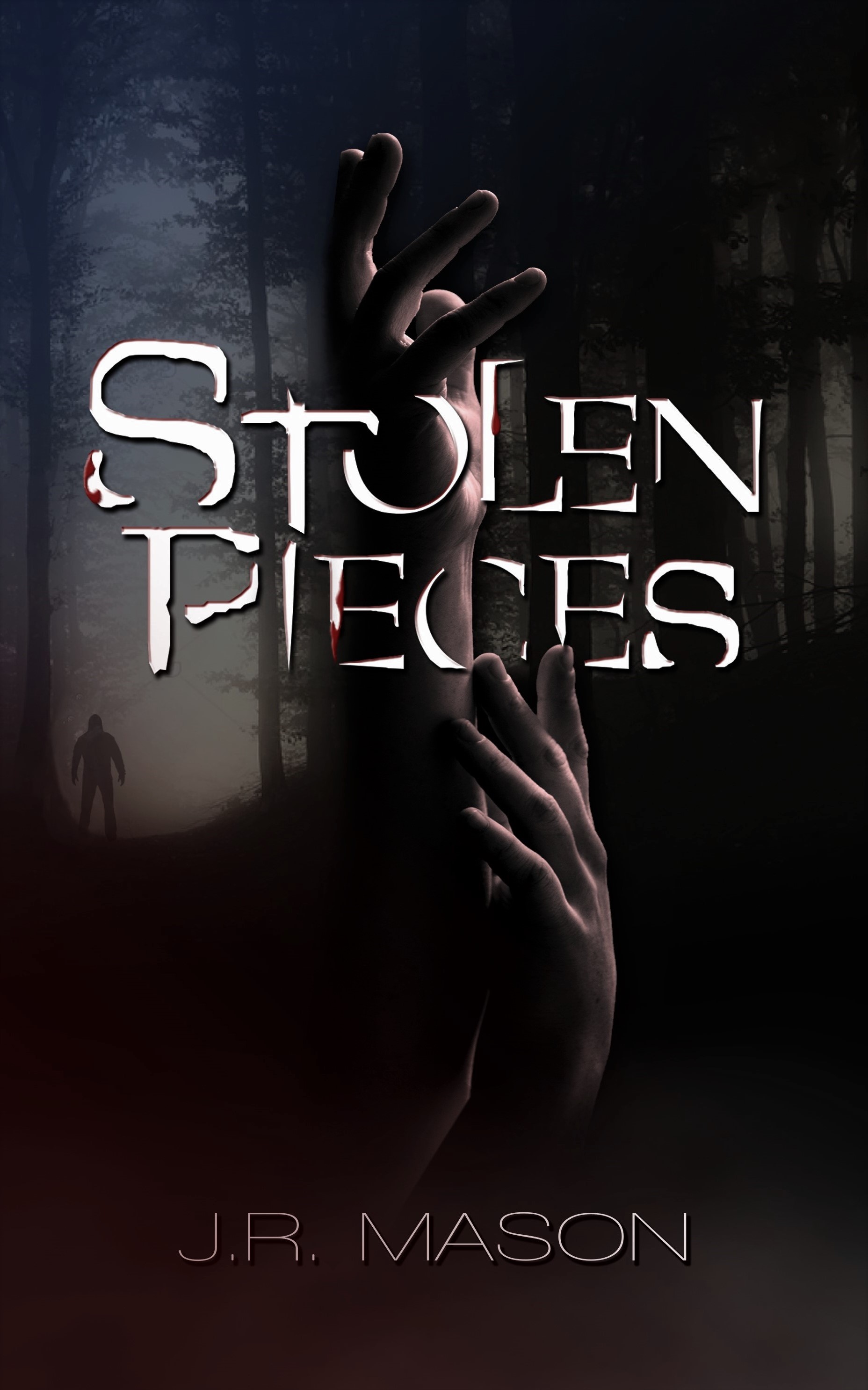 Stolen Pieces (Stolen Pieces, #1)