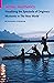 Settler Aesthetics: Visualizing the Spectacle of Originary Moments in The New World (Indigenous Films)