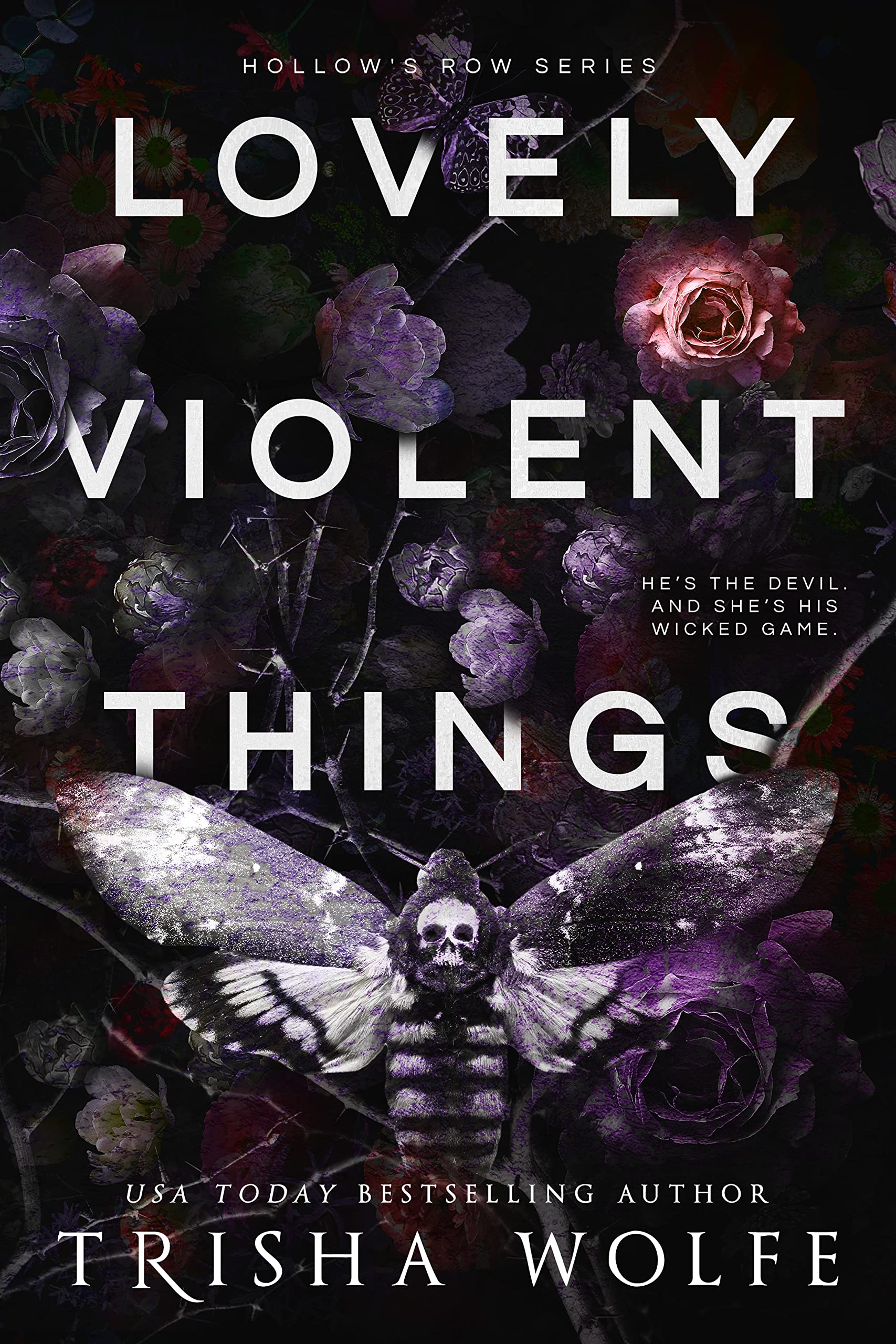 Lovely Violent Things (Hollow's Row, #2)