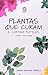 Plantas Que Curam E Cortam ...
