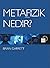 Metafizik Nedir?
