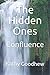 The Hidden Ones: Confluence