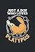 Just A Boy Who Loves Platyp...