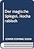 Der magische Spiegel. Hocha...
