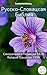 Русско-Словацкая Библия: Синодального Перевода 1876 - Rohacek Slovakian 1936 (Parallel Bible Halseth Book 609) (Russian Edition)