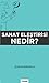 Sanat Elestirisi Nedir?