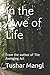 In the Awe of Life: From th...