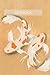 Koi fish Notebook: 100 line...