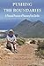 Pushing the Boundaries: A P...