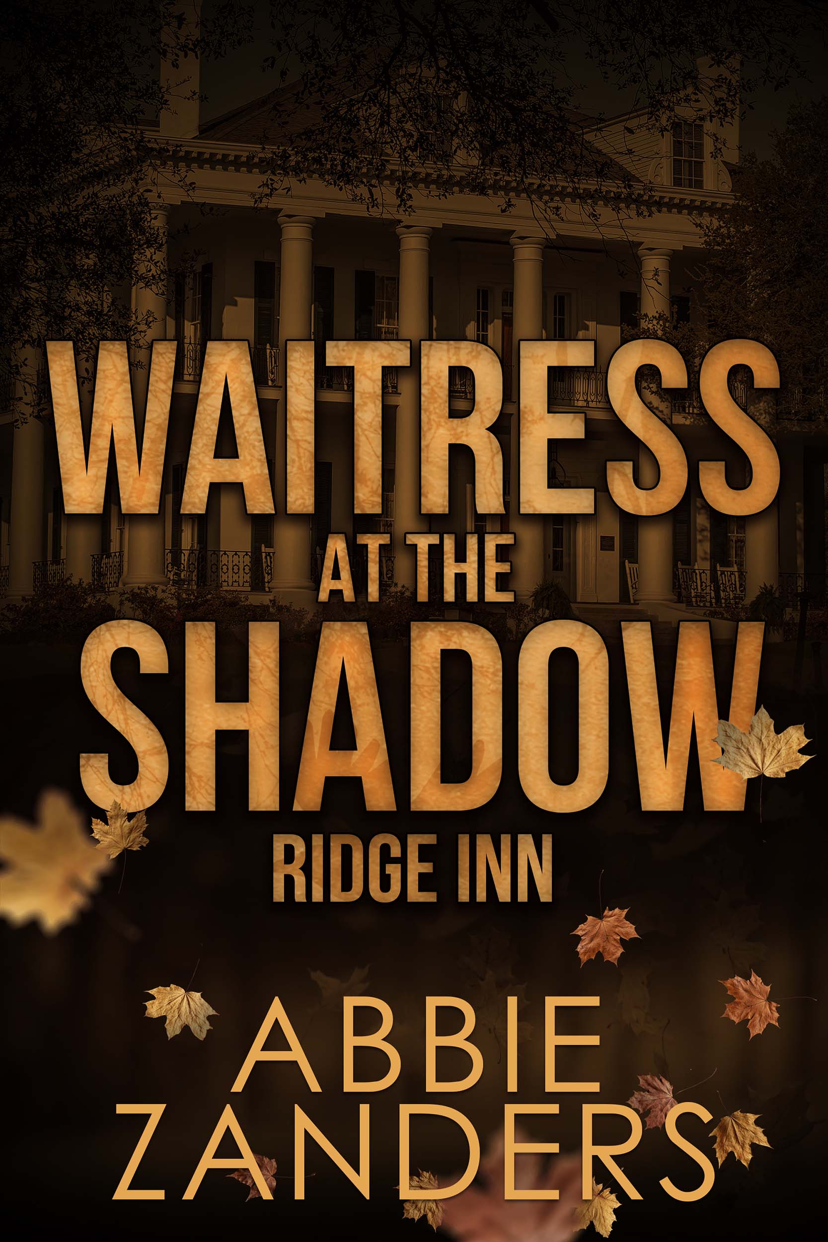 Waitress at the Shadow Ridge Inn (Kindle Edition)