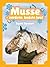 Musse - verdens bedste hest