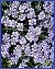 Purple Flower Power by Gloria Nesich