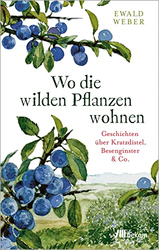 Wo die wilden Pflanzen wohnen: Geschichten über Kratzdistel, Besenginster & Co. (German Edition)
