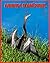 Anhinga d'Amérique: Informa...