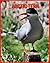Arctic Tern: Super Fun Fact...