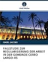 FALLSTUDIE ZUR REGULARISIERUNG DER ARBEIT IN DER GEMEINDE CERRO LARGO-RS (German Edition) FALLSTUDIE ZUR REGULARISIERUNG DER ARBEIT IN DER GEMEINDE CERRO LARGO-RS (German Edition)