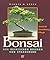 Bonsai aus heimischen Bäume...