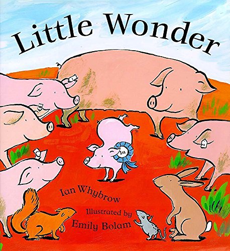 Little Wonder (Paperback)