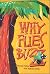 Why Flies Buzz