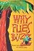 Why Flies Buzz