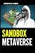 Sandbox Metaverse by Joseph R. Lewis