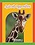 Animal Opposites (Fácil De Leer / Easy to Read) (English Edit... by Amy Irene White